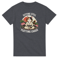 Load image into Gallery viewer, Sitting Still Plotting Chaos T-Shirt in dark heather by Catagorical