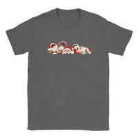 Load image into Gallery viewer, Christmas Ragdoll Cats T-Shirt in graphite heather by Catagorical